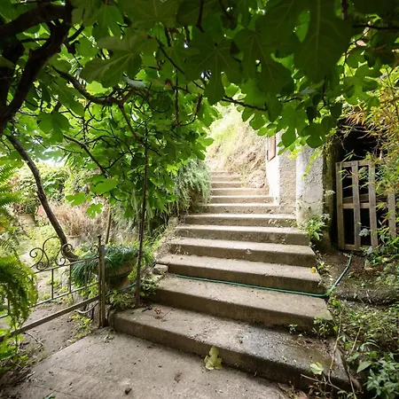 Blanche Appartement *