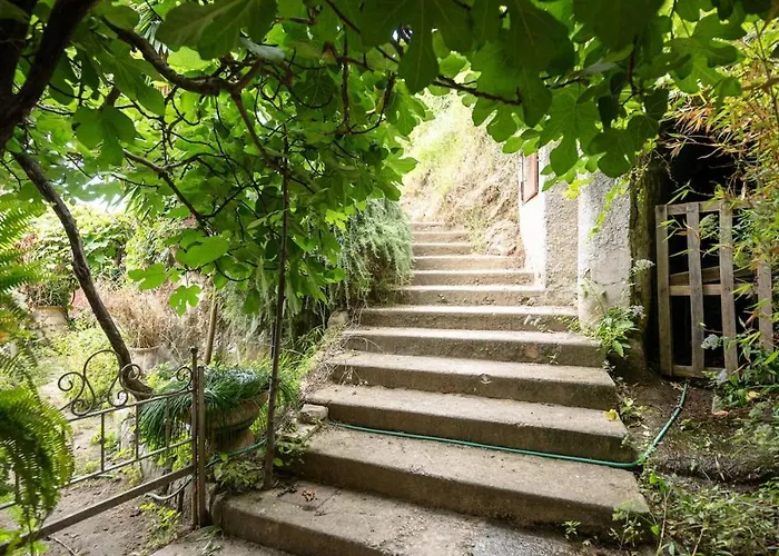 Blanche Апартаменты *